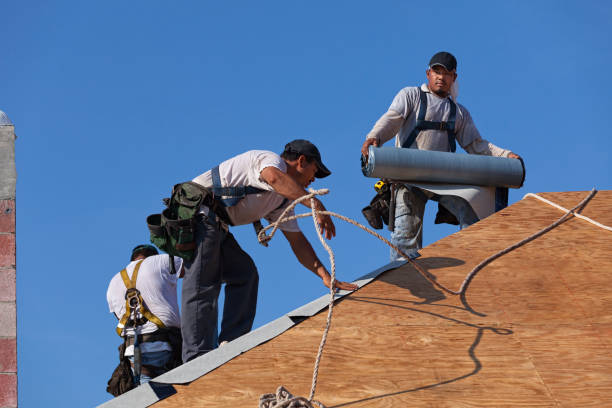 Best Roof Gutter Cleaning  in North Bellport, NY